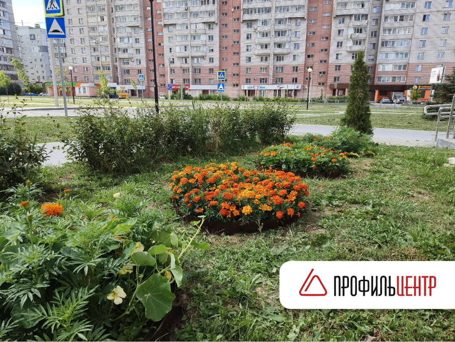 ПрофильЦентр участвует в благоустройстве Череповца!